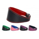  Ace Traditional Leather Dog Collar lined with super SOFT leather 5 Colors